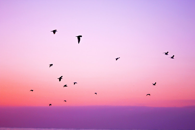 Maria Schotman Afscheidsdeskundige in Steenderen | Uitvaartonderneming | Vergelijk en bespaar