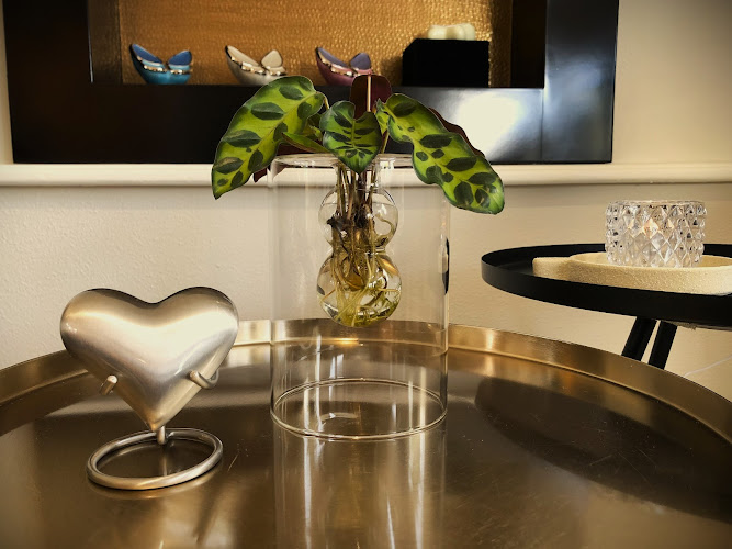 Meijer Uitvaartzorg in Drachten | Uitvaartbegeleider | Keuzehulp uitvaartzorg