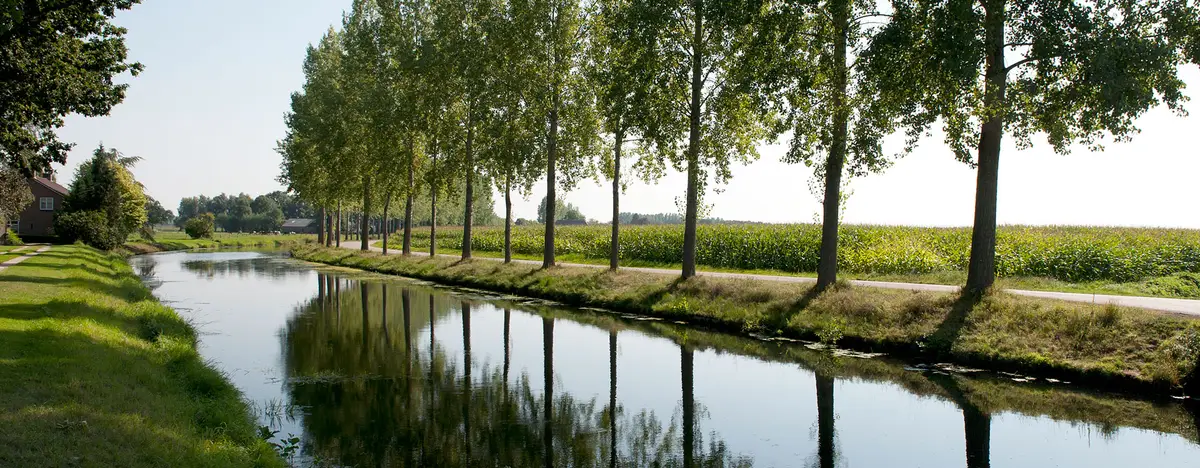 Memento Mori in Gorssel | Uitvaartbegeleider | Vind de beste uitvaartondernemer