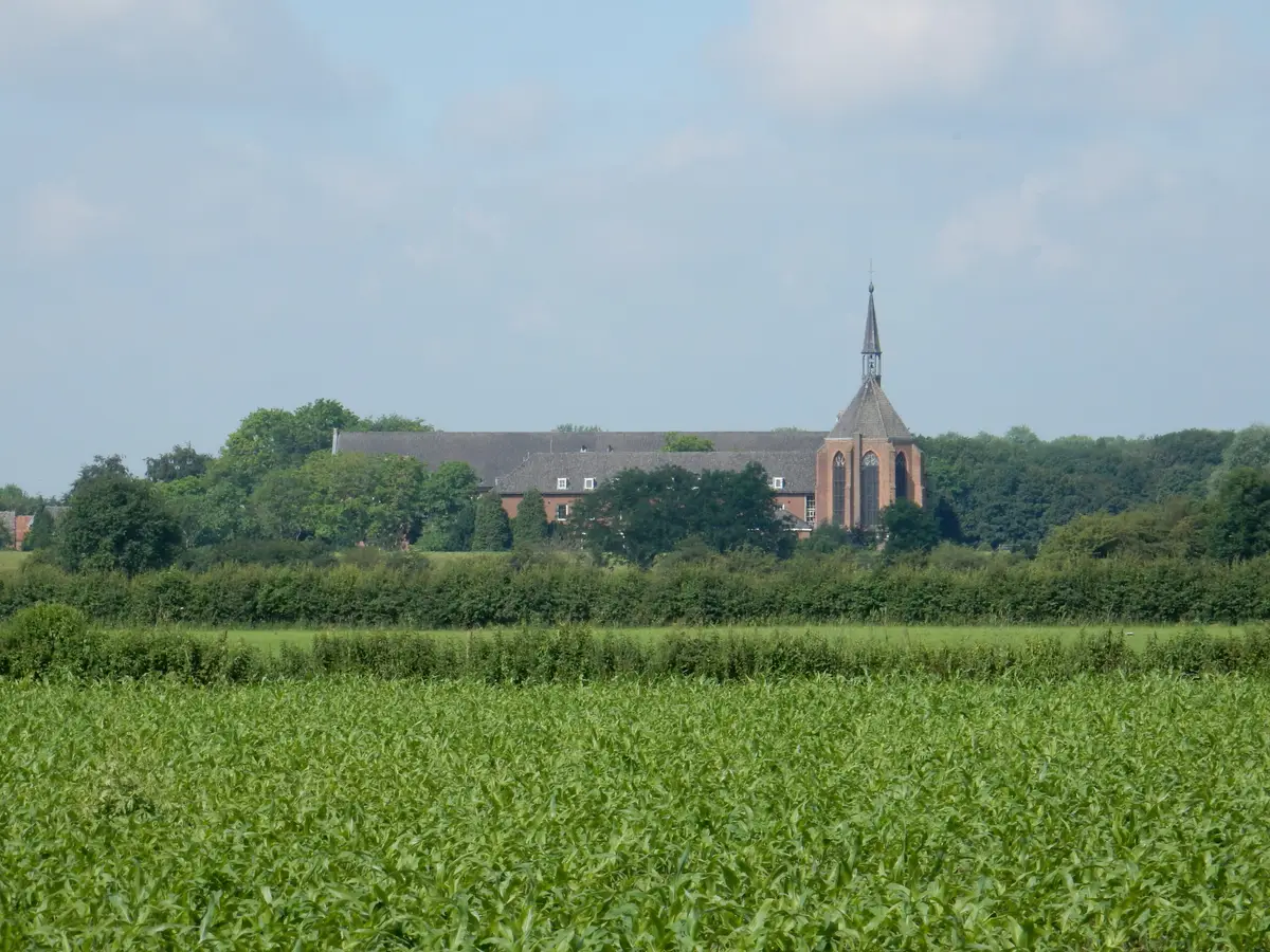 Memento Mori Harkema | Afscheidsbegeleider | Vergelijk diensten en tarieven