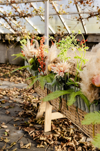 Monique Ursem uitvaartbegeleiding in Wognum | Uitvaartzorg | Vergelijk diensten en tarieven