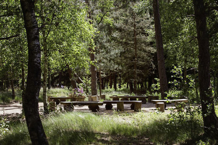 Mooie Uitvaart in Leiden | Uitvaartverzorger | Uw keuzehulp