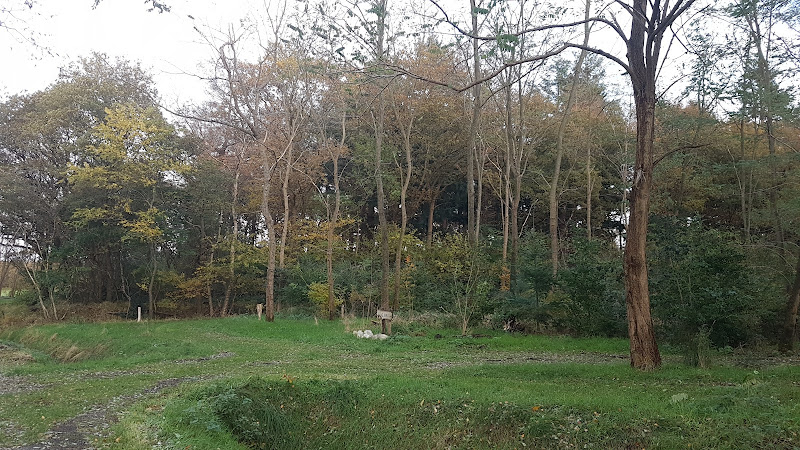 Natuerbegraafplak Bremer Wildernis in Sondel | Begrafenisverzorging | Transparante tarieven