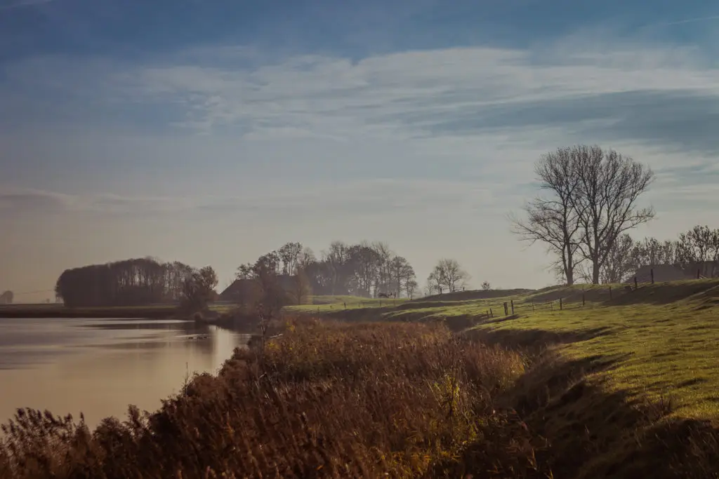 Natuerbegraafplak Fryslân in Nieuwehorne | Begrafenisverzorging | Uw gids voor uitvaarten