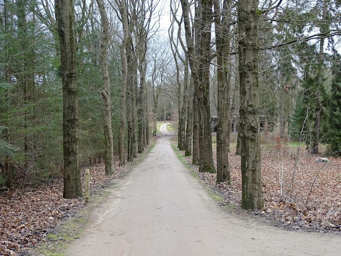 Natuurbegraafplaats Heidepol in Arnhem | Uitvaartzorg | Vergelijk tarieven
