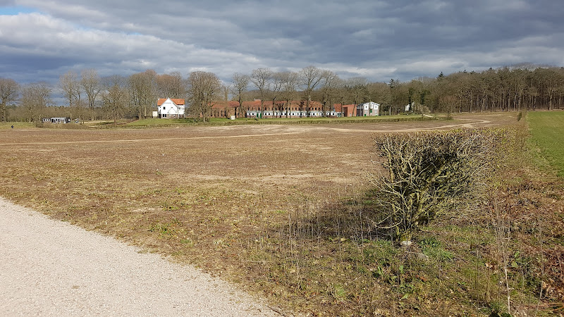Natuurbegraafplaats Koningsakker in Arnhem | Begrafenisverzorging | Onafhankelijk vergelijker