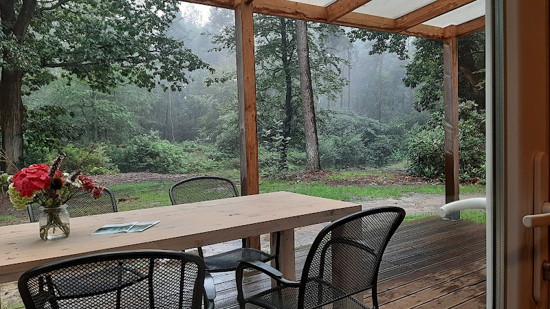 Natuurbegraafplaats Schapenmeer in Vorden | Uitvaartonderneming | Eerlijke vergelijking