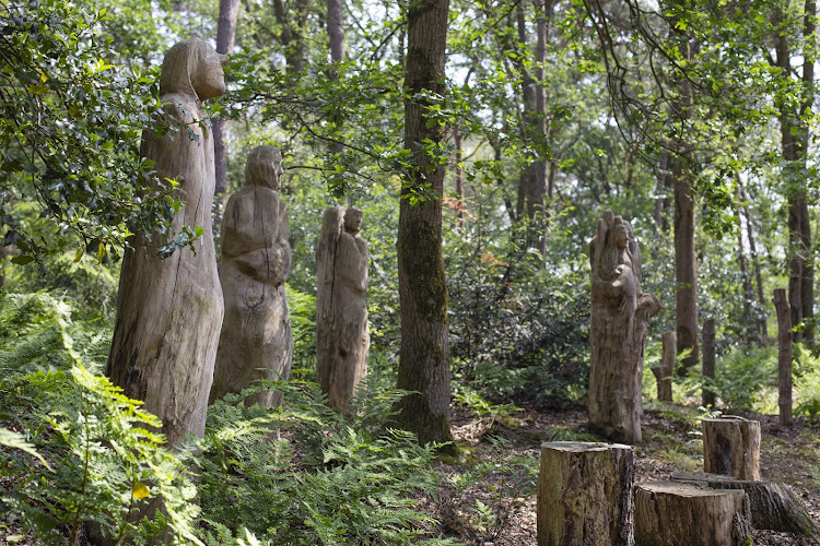 Natuurbegraafplaats Weverslo in Heide | Uitvaartbegeleider | Vergelijk tarieven
