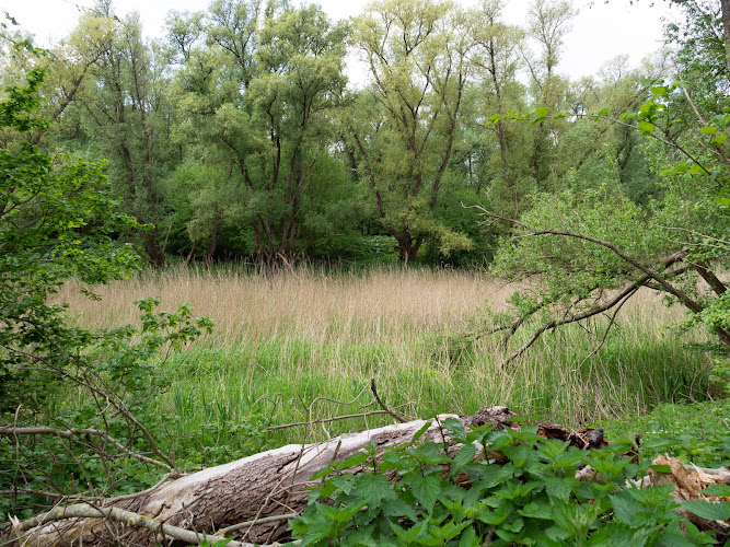 Natuurbegraafplaats Zomerlanden in Heinenoord | Begraafplaats | Eerlijke vergelijking
