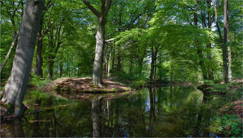 Natuurbegraafplaatsen van Waarde in Eext | Begrafenisverzorging | Vergelijk zorg & tarieven
