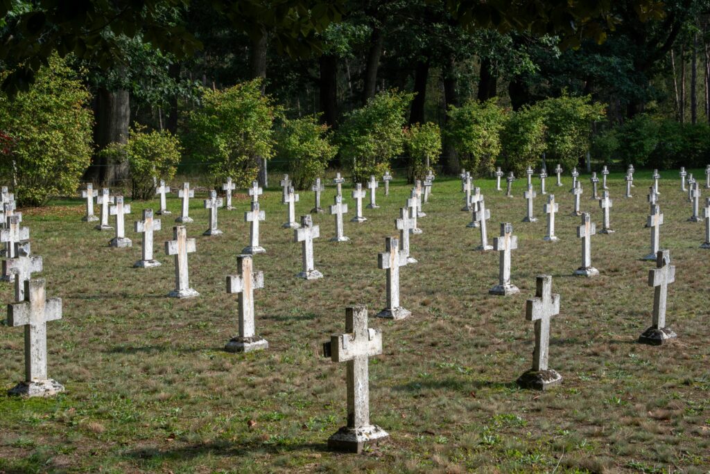 Natuurbegraven: Wat is het en hoe werkt een natuurbegraafplaats?