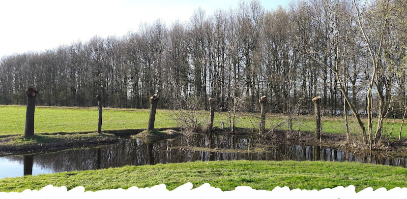 Natuurkisten Achterhoek in Heelweg | Uitvaartbegeleider | Eerlijk en transparant