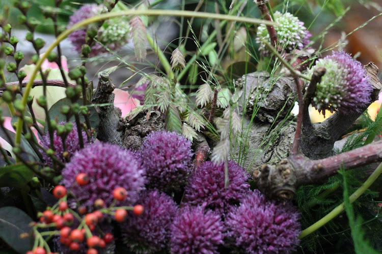 Nicole Conradi Uitvaartzorg in Herten | Uitvaartverzorger | Eerlijke vergelijking