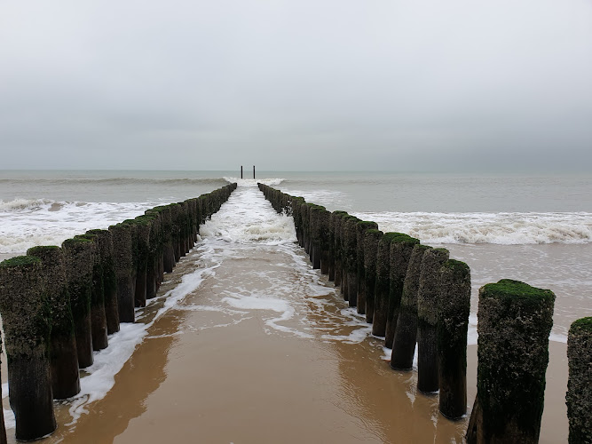 Nicoline Hoogendoorn Uitvaartverzorging in Terneuzen | Uitvaartonderneming | Wij helpen u kiezen