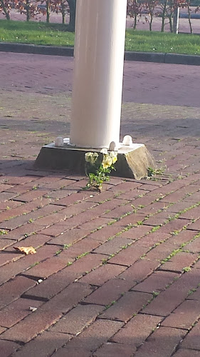 Nieuwe Begraafplaats in Brielle | Uitvaartcentrum | Uw keuzehulp