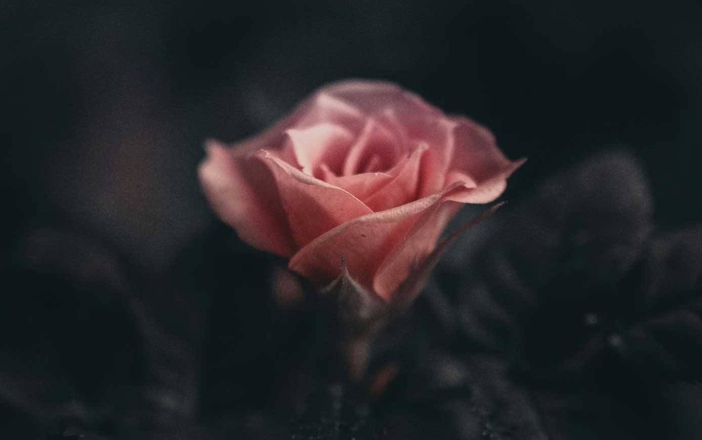 Odens Uitvaart & Begeleiding l Katja Hehenkamp in Rotterdam | Uitvaartzorg | Bespaar door transparantie