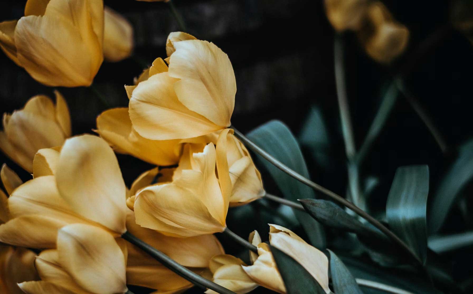 Pc Uitvaartlocaties B.V. in Nieuw-Vennep | Uitvaartzorg | Vergelijk zorg & tarieven