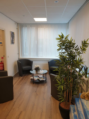 Pet Crematorium Drechtsteden in Alblasserdam | Uitvaartonderneming | Vind de beste uitvaartondernemer