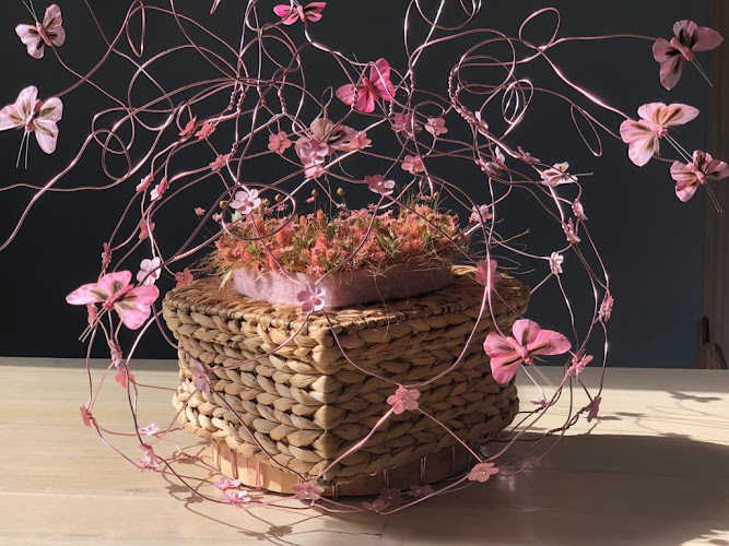 Prematuur in Apeldoorn | Uitvaartzorg | Vergelijk diensten en tarieven