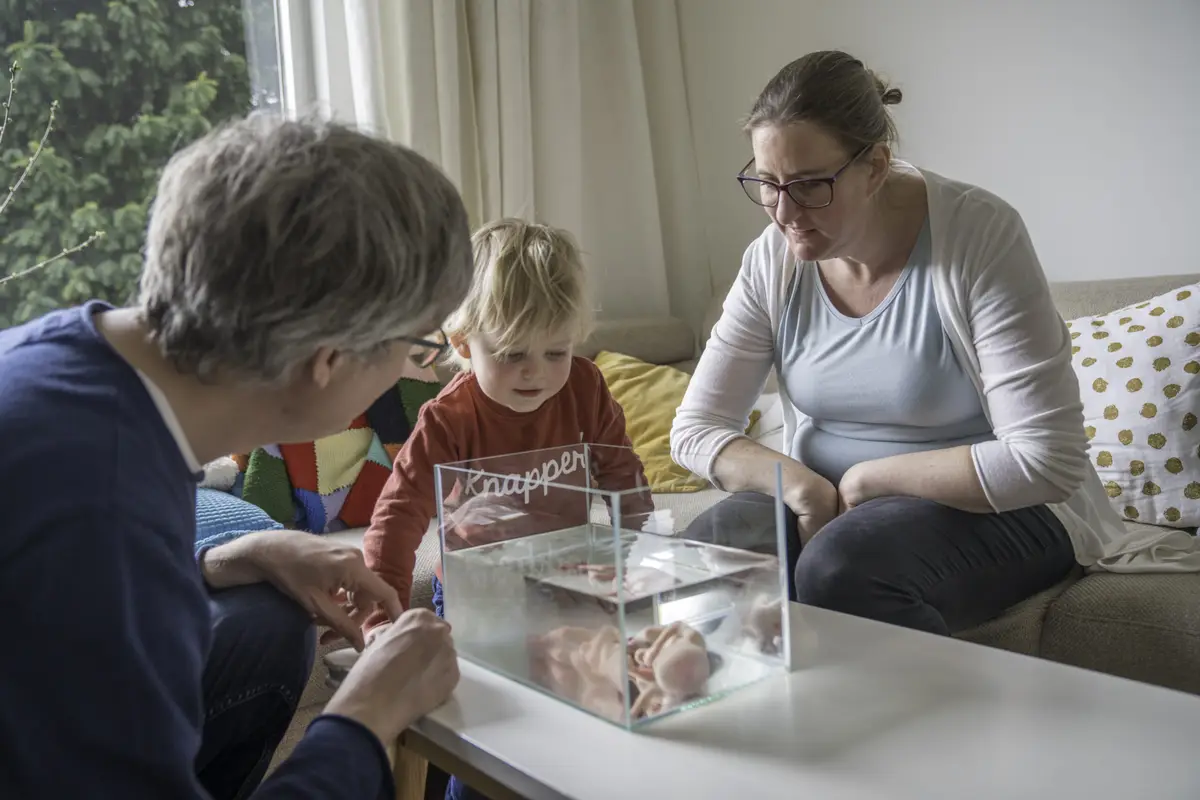 Protestantse Gemeente Eastermar | Uitvaartonderneming | Vind de juiste uitvaartondernemer