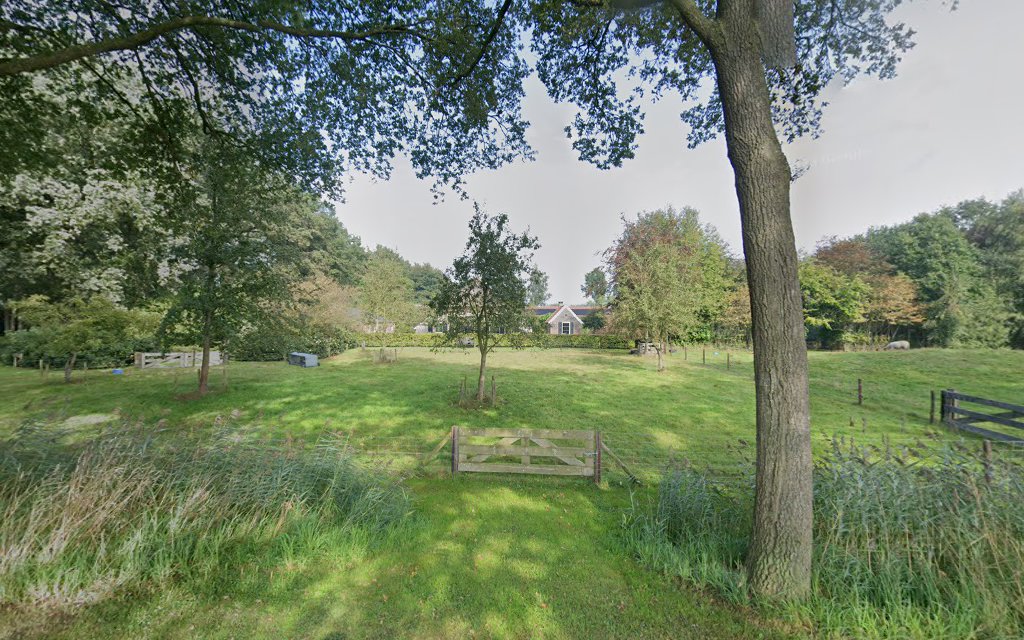 Puur Afscheid Uitvaartzorg in Nieuwleusen | Uitvaartbegeleider | Vind de beste uitvaartondernemer