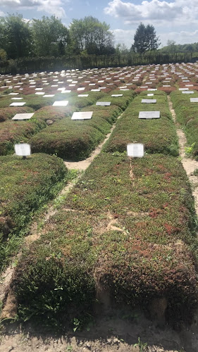 Riyad Al Jannah in Zuidlaren | Uitvaartzorg | Vind de beste uitvaartondernemer