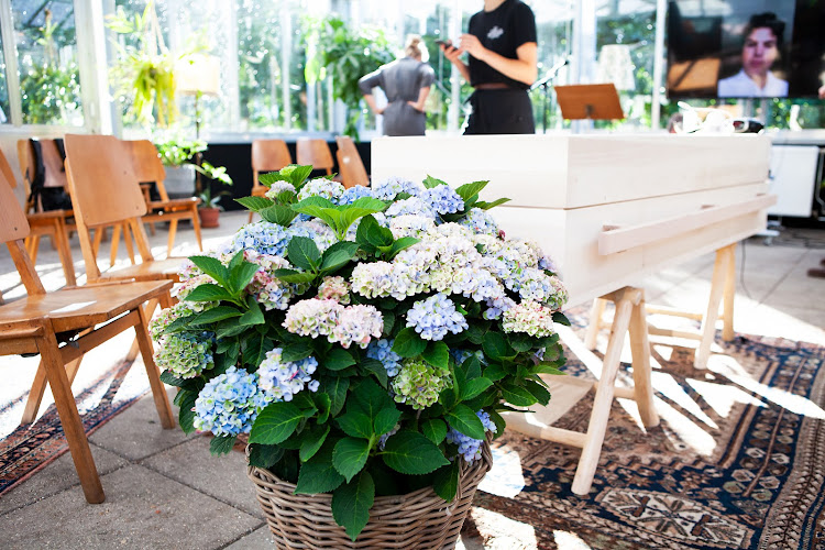 Rouwloods in Leiden | Uitvaartbegeleider | Wij helpen u kiezen