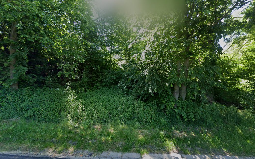 Secretariaat Begrafenisfonds Treebeek in Wijnandsrade | Uitvaartzorg | Vind de beste uitvaartondernemer