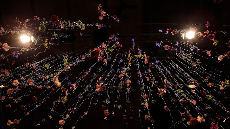 Signatuur Uitvaart - Utrecht | Afscheidsbegeleider | Vergelijk de beste bedrijven