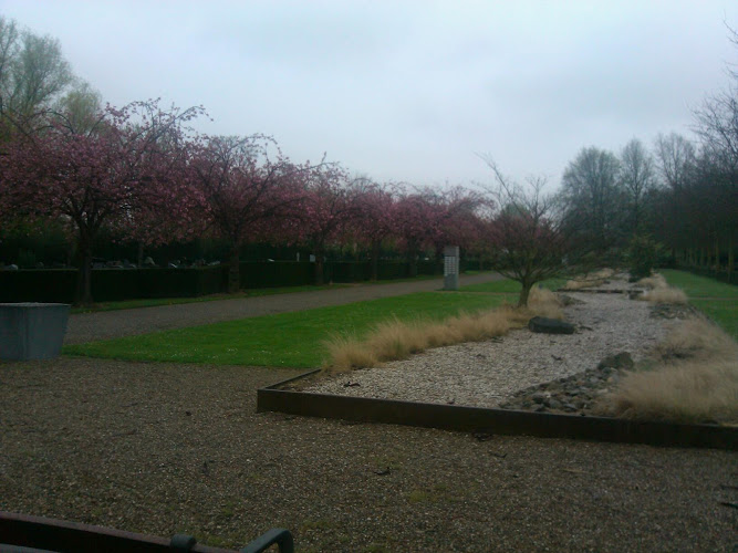 Sittard General Cemetery | Uitvaartonderneming | Wij helpen u kiezen