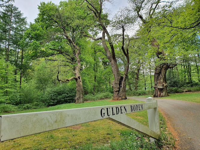 Sonsdaal Uitvaartzorg in Arnhem | Uitvaartonderneming | Transparante tarieven