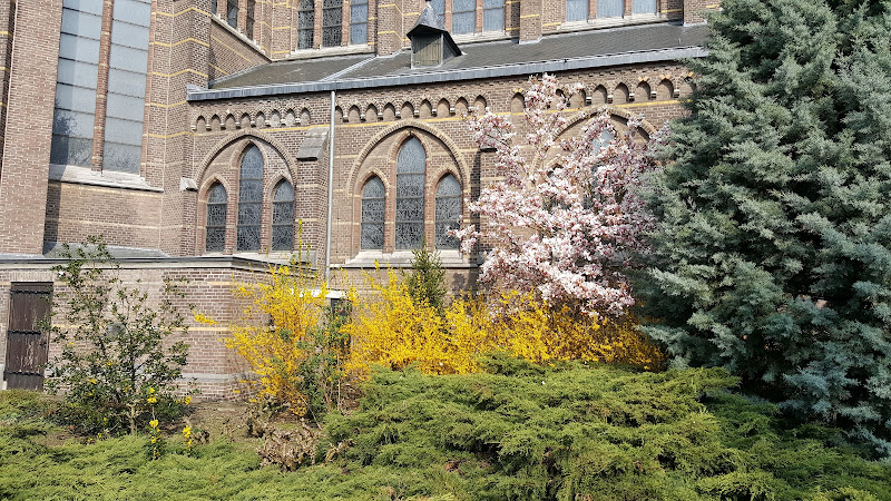 St. Willibrord Church in Liessel | Uitvaartzorg | Keuzehulp uitvaartzorg
