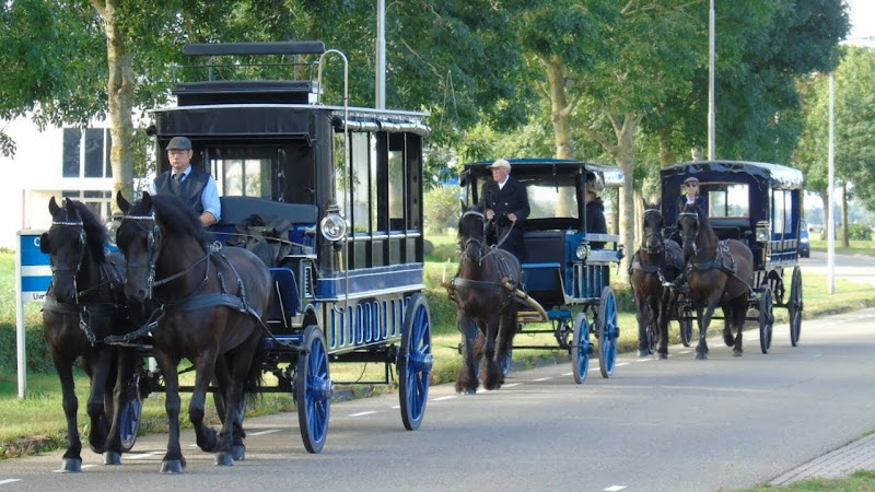 Stalhouderij familie Zwaan. Trouwkoets in Oldemarkt | Uitvaartonderneming | Eerlijke vergelijking