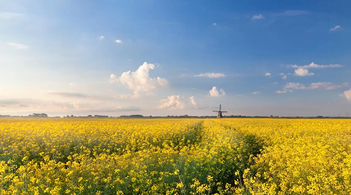 Stamborg Uitvaartzorg - Uitvaart crematie in Haaksbergen | Uitvaartonderneming | Transparante tarieven