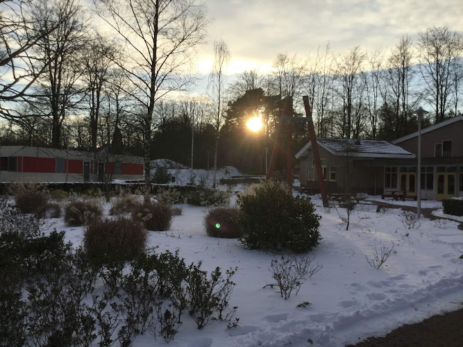 Stichting OlmenEs in Appelscha | Uitvaartonderneming | Bespaar door transparantie