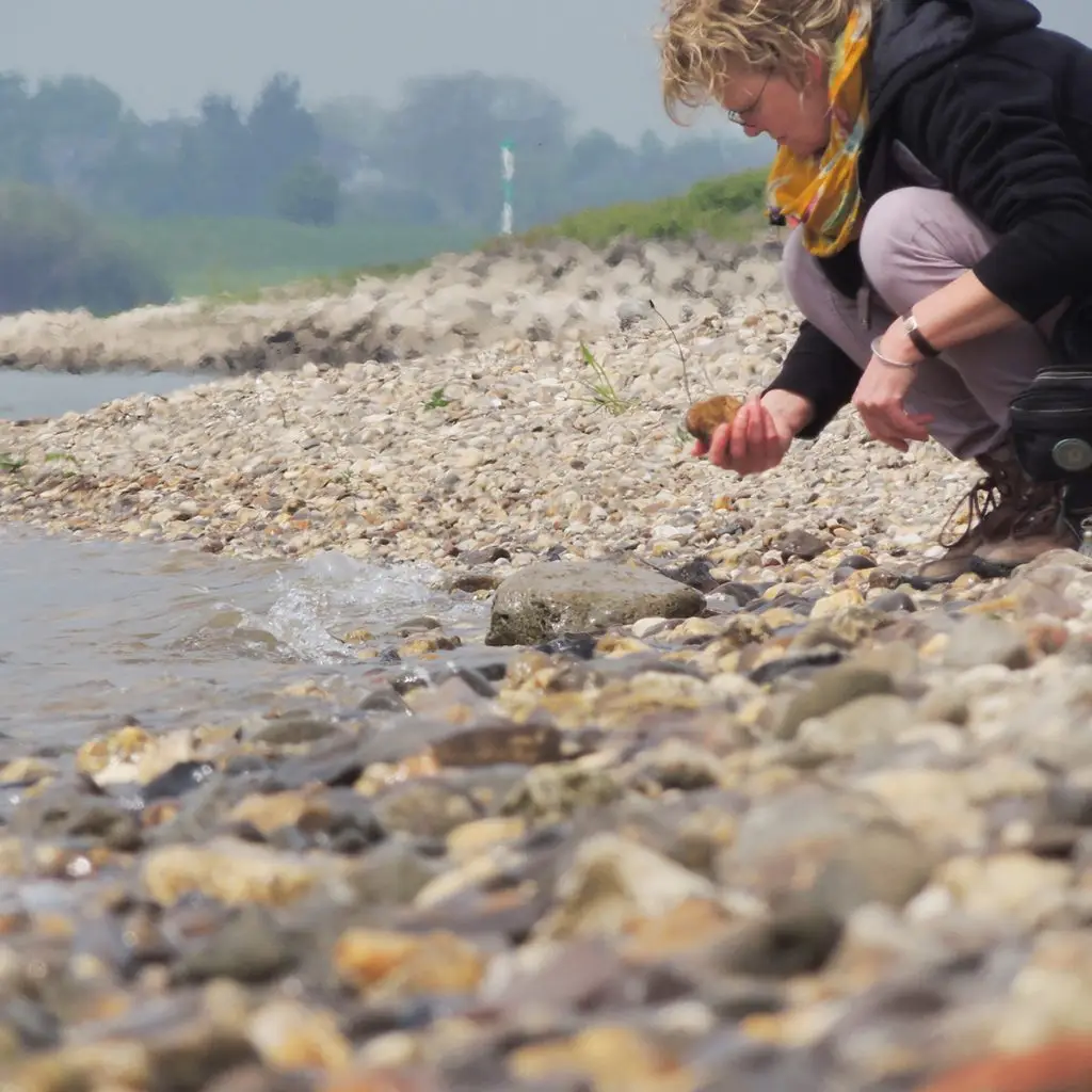 Syrisch-orthodoxe Klooster St. Ephrem de Syrier in Glane | Uitvaartzorg | Vergelijk tarieven