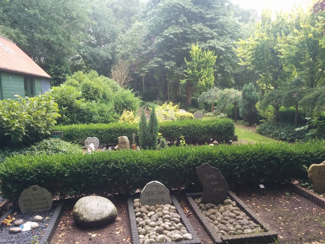 T Hunebed Animal Cemetery in Pesse | Uitvaartverzorger | Uw keuzehulp