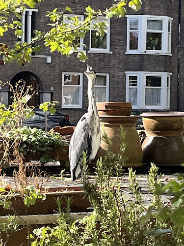 Uitvaart Amsterdam | Uitvaartbegeleider | Vergelijk en bespaar