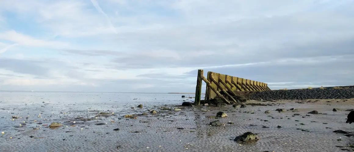 Uitvaartvereniging in Buitenpost | Uitvaartbegeleider | Vind de juiste uitvaartondernemer