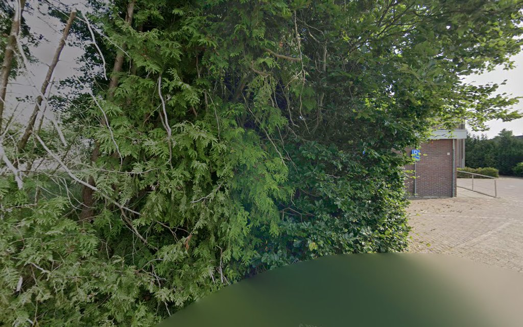 Uitvaartvereniging Draagt Elkanders Lasten in Appelscha | Uitvaartbegeleider | Vergelijk en bespaar