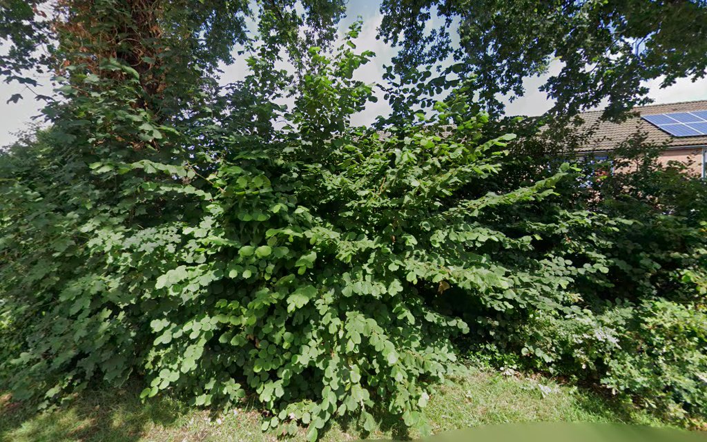 Uitvaartvereniging dwingeloo in Dwingeloo | Uitvaartonderneming | Transparante dienstverlening