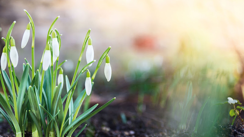 Uitvaartvereniging Eert Uw Doden - Aula in Wijhe | Uitvaartonderneming | Vergelijk en bespaar