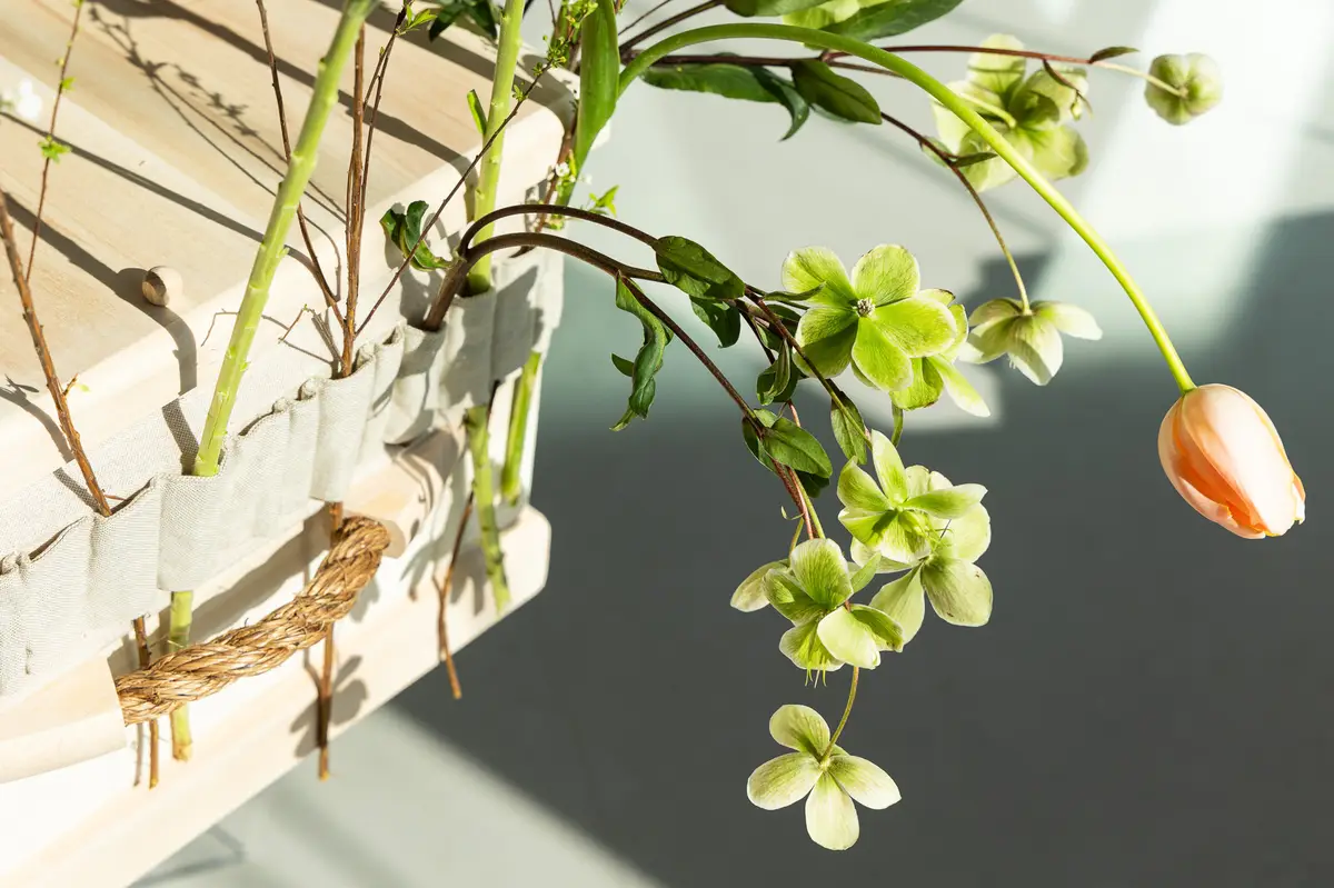 Uitvaartvereniging Tolbert in Leek | Uitvaartzorg | Transparante dienstverlening