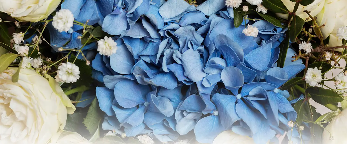 Uitvaartvereniging Westerbork e.o. | Begraafplaats | Vergelijk aanbieders in de regio