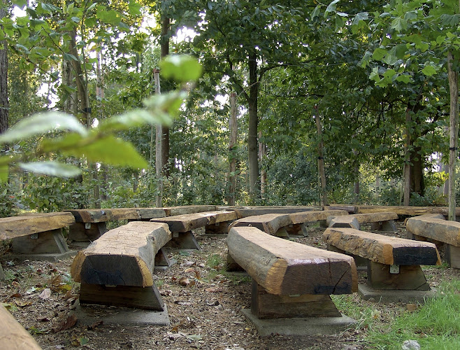 Uitvaartverzorging Willems in Sint Odiliënberg | Bloemist | Vind de beste uitvaartondernemer