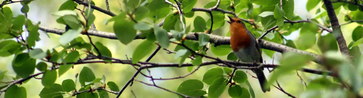 Uitvaartwinkel Verlies in Enschede | Uitvaartbegeleider | Onafhankelijk vergelijker