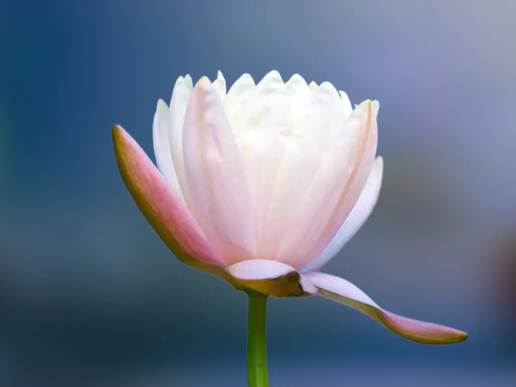 Uitvaartzorg Boerhaave in Groningen | Uitvaartcentrum | Vergelijk tarieven