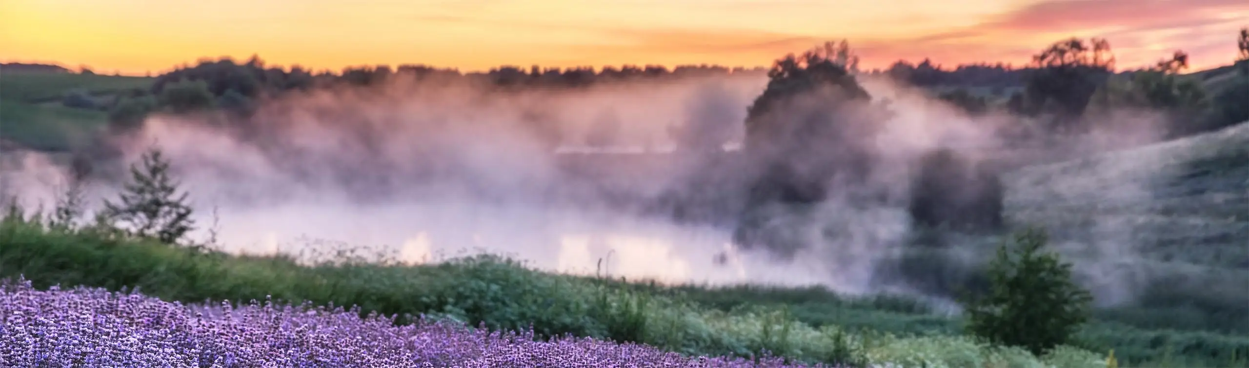 Uitvaartzorg Noord-Veluwe in Wezep | Uitvaartonderneming | Vergelijk de beste bedrijven