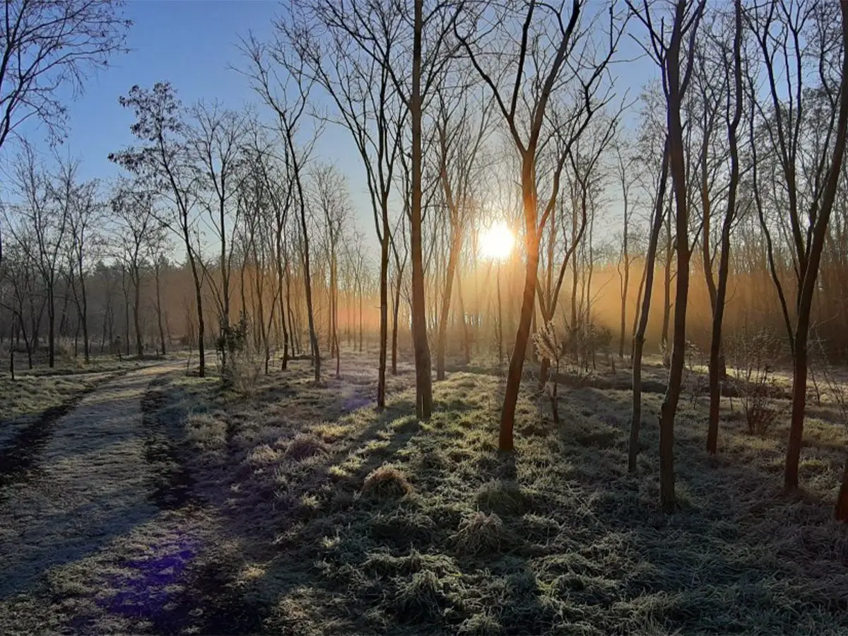 Uitvaartzorg van Stad tot Wad in Uithuizen | Uitvaartbegeleider | Vergelijk aanbieders in de regio