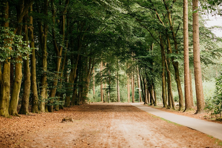 Uitvaartzorg Van Tilburg in Schaijk | Uitvaartonderneming | Transparant en eerlijk